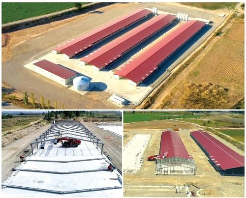 mais recente caso da empresa sobre Três novas casetas de frango de corte na 3a fase da construção de salas de engorda de frangos de corte, com capacidade para cerca de 147000 frangos de corte.