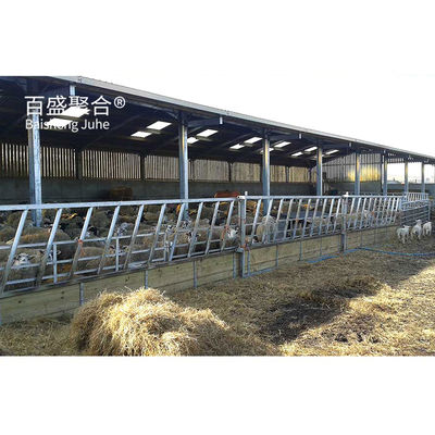 Construção de metal Estrutura de aço personalizada para galpão de vacas / galpão de ovelhas / casa de porco