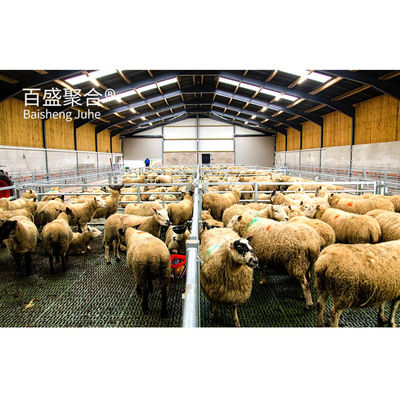 Construção de metal Estrutura de aço personalizada para galpão de vacas / galpão de ovelhas / casa de porco