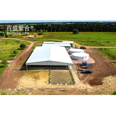 Construção de metal Estrutura de aço personalizada para galpão de vacas / galpão de ovelhas / casa de porco