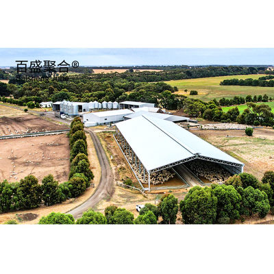 Construção de metal Estrutura de aço personalizada para galpão de vacas / galpão de ovelhas / casa de porco