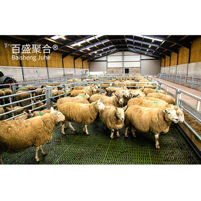 Estrutura de aço pré-fabricada personalizada Casas de criação de cabras