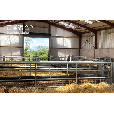 Estrutura de aço pré-fabricada personalizada Casas de criação de cabras