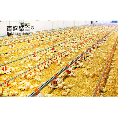 Multi-floor Large Scale Chicken Coop Shed Farm House Warehouse com Alumínio Janela de Ligação