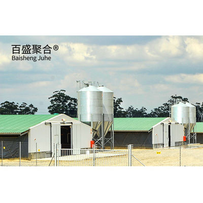 Multi-floor Large Scale Chicken Coop Shed Farm House Warehouse com Alumínio Janela de Ligação
