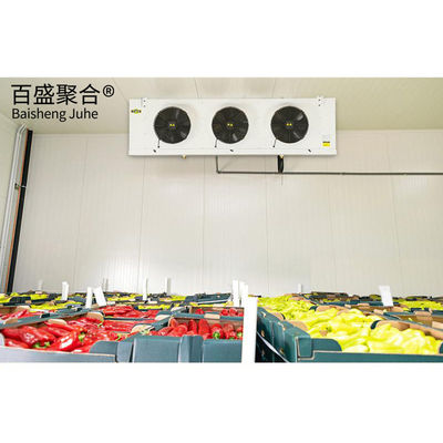 20ft Container móvel frigorífico para peixe vegetais frutas gelados de armazenamento