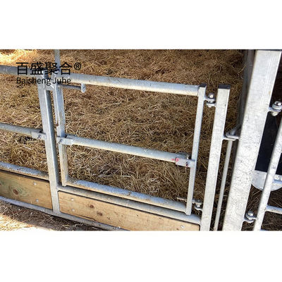 ISO9001 2008/CE/BV Certificado Galvanizado a quente Estrutura de aço pré-fabricada Edifício de pecuária para porcos, vacas e ovelhas
