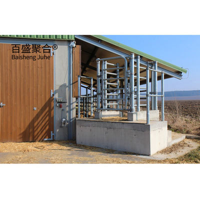 Estrutura de aço leve Edifício da fazenda de vacas Caldeirão pré-fabricado com ISO9001 2008/CE/BV
