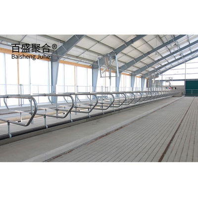 PKPM Drawing Design Stable and Durable Light Steel Structure Frame for Modern Cowshed (Frameira de estrutura de aço leve estável e durável para vaqueiros modernos)