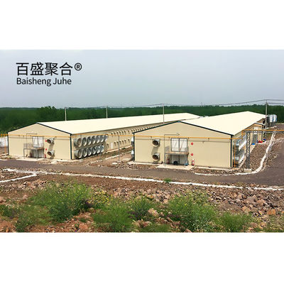 Casas de fazenda pré-fabricadas de porcos pesados com grande estoque e design de equipamentos de porcarias