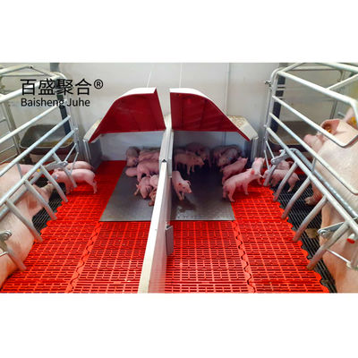 Alimentação de suínos Canelas de criação com canal de aço em forma de C.Z e revestimento galvanizado a quente