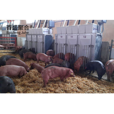 Caixas de fecundação de suínos de alta tolerância para equipamento de pecuária agrícola personalizado