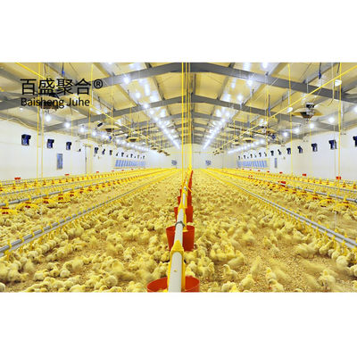 Galvanizado a quente Coop de frango de design moderno para criação de aves de capoeira Casa estrutura de aço galpão