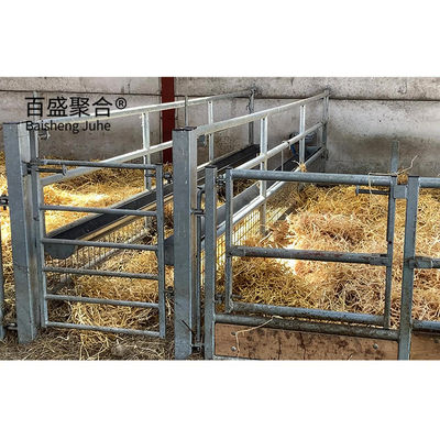 Galvanizado a quente / pintura de pulverização estrutura de aço casa para aves e eficiência