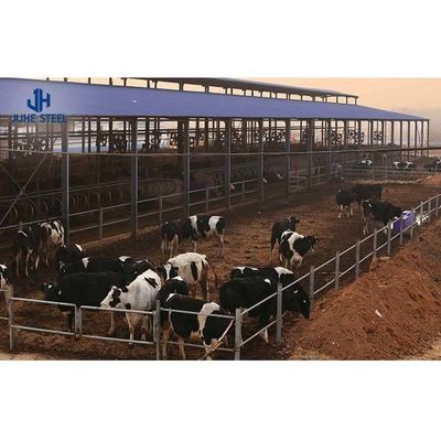 Porta de rolos Estrutura de aço pré-fabricada Casa de vaca para aves de capoeira Barracão comercial