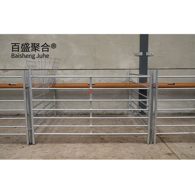 Customized Prefabricated Goat Farm Sheds with Steel H Beams and Aluminum Alloy Window (Sendas pré-fabricadas de gado de cabra com vigas de aço e janelas de alumínio)