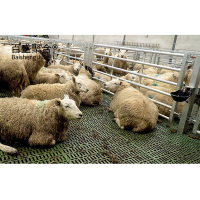 Edifício pré-fabricado de estrutura de aço padrão ASTM para vacas, ovelhas, gado