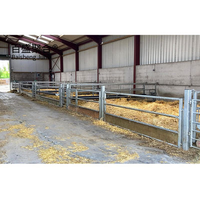 Estrutura de aço galvanizada a quente pré-fabricada