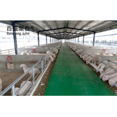Estrutura de aço Edifício pré-fabricado de quinta para estaleiro de vacas