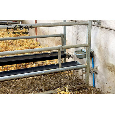 Estrutura de aço Edifício pré-fabricado de quinta para estaleiro de vacas