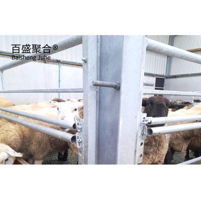 Soldadura Prefabricados H vigas Construção de estruturas de aço para cabras e ovelhas