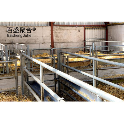 Q235 Solução de agricultura de aço de aço com baixo teor de carbono para habitação eficaz e segura de animais