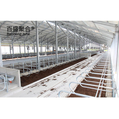 Casa de vacas/barracão de vacas pesado e pré-fabricado, de design eficiente, com porcelana em forma de C.Z.