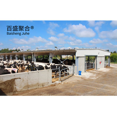 Casa de vacas/barracão de vacas pesado e pré-fabricado, de design eficiente, com porcelana em forma de C.Z.