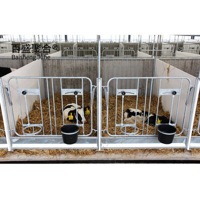 Casa de vacas/barracão de vacas pesado e pré-fabricado, de design eficiente, com porcelana em forma de C.Z.