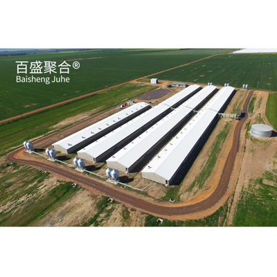 Estrutura de aço de caixa de farrowing para casa de porco moderna da fazenda coberto de porco da vinícola de porco da costa