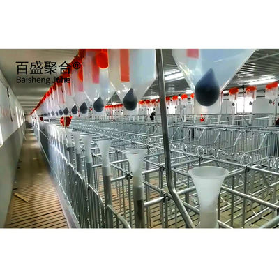 Estrutura de aço de caixa de farrowing para casa de porco moderna da fazenda coberto de porco da vinícola de porco da costa