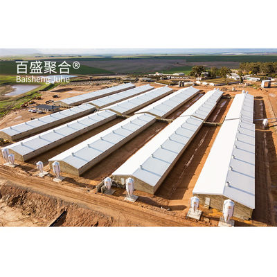 Edifício agrícola de estrutura de aço pré-fabricado personalizado para habitação de porcos e celeiro de vacas