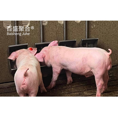 Edifício agrícola de estrutura de aço pré-fabricado personalizado para habitação de porcos e celeiro de vacas