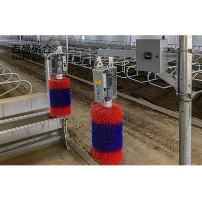 Estrutura de aço pré-fabricada pesada galpão de vacas para MTS desenho de projeto Pecuária leiteira