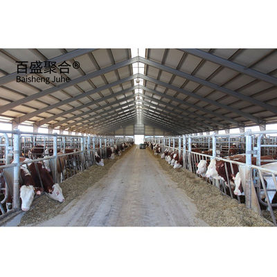 PKPM Desenho Projeto Estrutura de aço pré-fabricada Vaca Cabra Laticínio