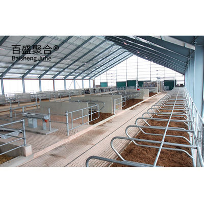 PKPM Desenho Projeto Estrutura de aço pré-fabricada Vaca Cabra Laticínio