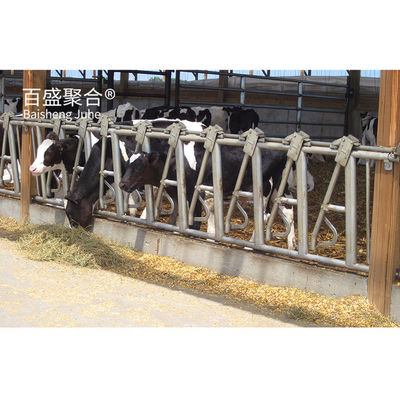 Estrutura de aço de fornecimento direto Abrigo de gado para vacas em projeto pré-fabricado