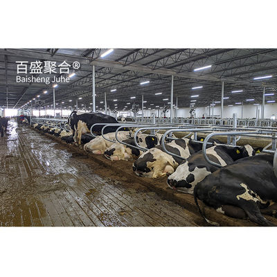 Estrutura de aço de fornecimento direto Abrigo de gado para vacas em projeto pré-fabricado