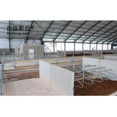 Estrutura de aço de fornecimento direto Abrigo de gado para vacas em projeto pré-fabricado