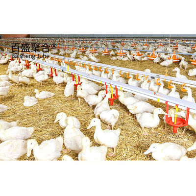 ±1% Tolerância Estrutura de aço de construção rápida Casa de galinheiro para fazenda de aves de capoeira pré-fabricada
