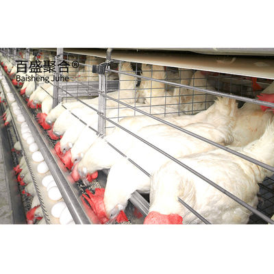 ±1% Tolerância Estrutura de aço de construção rápida Casa de galinheiro para fazenda de aves de capoeira pré-fabricada