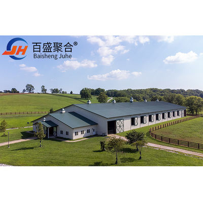 ISO9001 2008/CE/BV Certificado Modern Poultry Farm Estrutura de aço leve Casa de frango