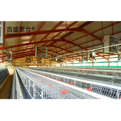 Galvanizado Tipo A Caixas de frango camada Aves com certificação ISO9001 2008/CE/BV