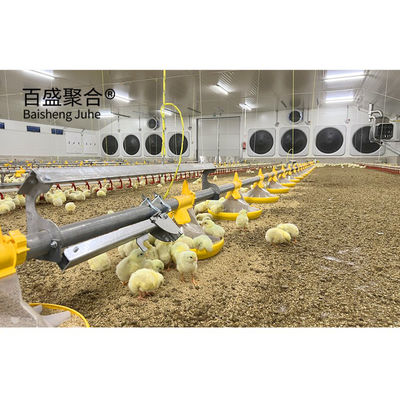 Galvanizado Tipo A Caixas de frango camada Aves com certificação ISO9001 2008/CE/BV