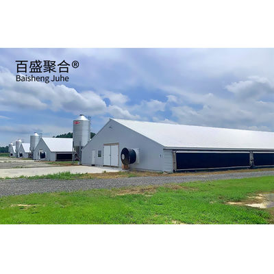 Galvanizado Tipo A Caixas de frango camada Aves com certificação ISO9001 2008/CE/BV