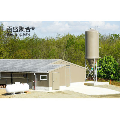 Galvanizado Tipo A Caixas de frango camada Aves com certificação ISO9001 2008/CE/BV