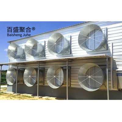 Hot Dip Galvanised C.Z Shape Steel Channel Prefabricated Chicken House for Poultry Farm (Hot Dip Galvanizado C.Z. Shape Steel Channel Prefabricado Casa de Frango para Alimentação de Polícia)
