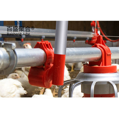 Hot Dip Galvanised C.Z Shape Steel Channel Prefabricated Chicken House for Poultry Farm (Hot Dip Galvanizado C.Z. Shape Steel Channel Prefabricado Casa de Frango para Alimentação de Polícia)