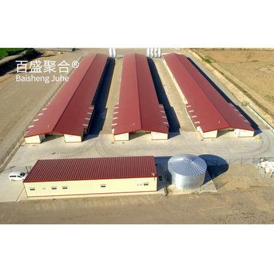 Hot Dip Galvanised C.Z Shape Steel Channel Prefabricated Chicken House for Poultry Farm (Hot Dip Galvanizado C.Z. Shape Steel Channel Prefabricado Casa de Frango para Alimentação de Polícia)