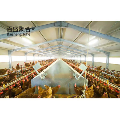 Cadeias de frango de frango comercial com alimentação automática de aves de capoeira